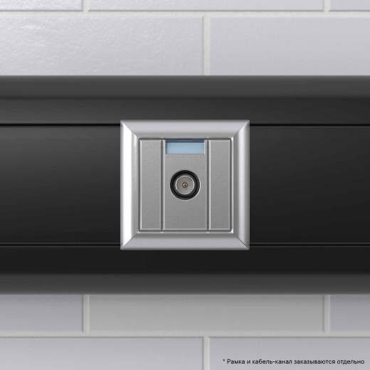 Розетка ТВ проходная, Avanti, закаленная сталь, 1 мод