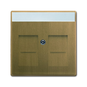 ABB BJE Династия Античная латунь Накладка комм. роз. 1810, 1812, 1814, 1816 и 1818, с полем надписи