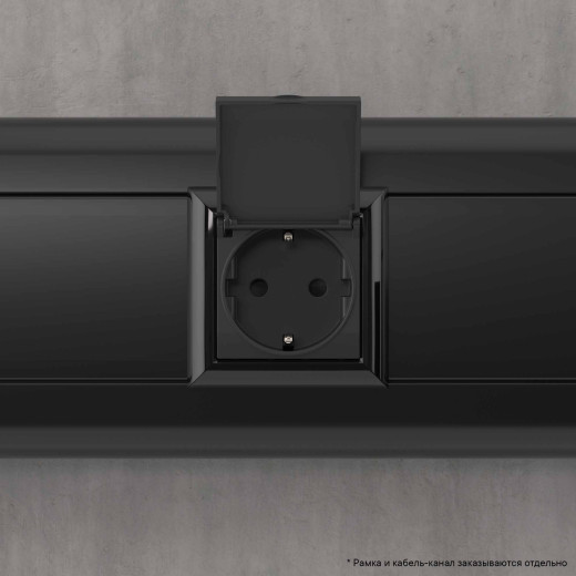 Розетка с крышкой модульная, 2P+E, с з/ш, Avanti, черный матовый, 2модуля