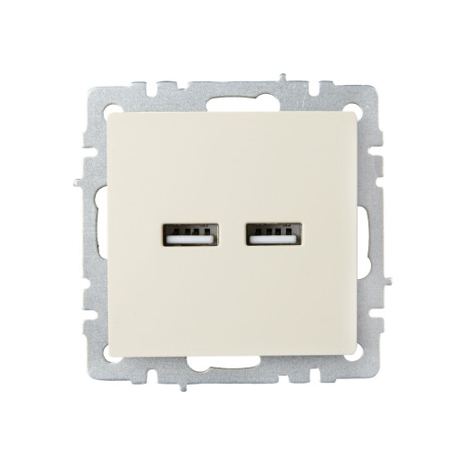 BRITE Роз. USB A+A 3,1А РЮ10-1-БрКр беж. IEK