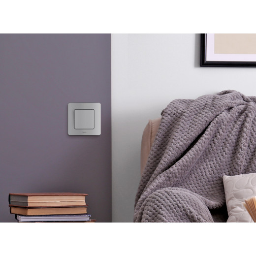 Выключатель одноклавишный - Legrand/Daccord Inspiria - 10АХ 250В безвинтовые зажимы - алюминий