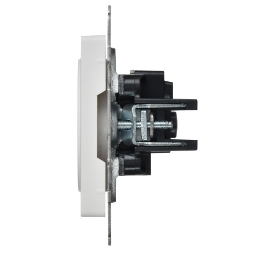 BRITE Роз. без з/к с з/ш 10А РСш10-2-БрАБ а/б IEK