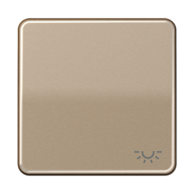 JUNG CD 500/CD plus Бронза Клавиша 1-ая с символом ОСВЕЩЕНИЕ