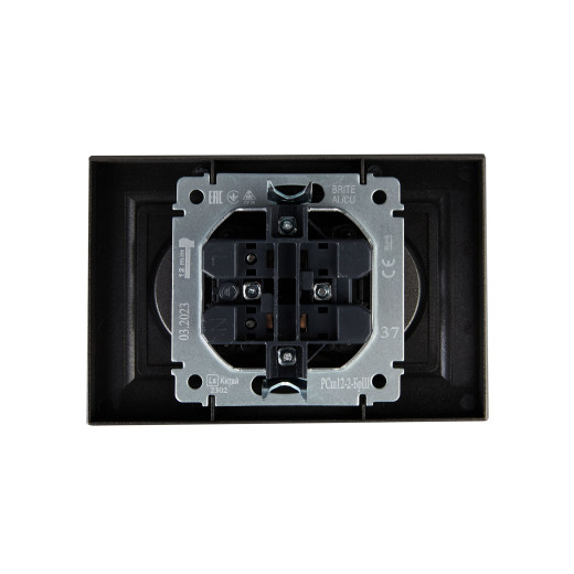 BRITE Роз. 2-я без з/к с з/ш 10А в сб. РСш12-2-БрШ шамп. IEK