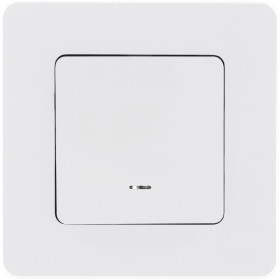 Legrand/Daccord INSPIRIA Белый Переключатель одноклавишный с подсветкой/индикацией 10 AX - 250 В.