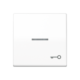 JUNG Клавиша для выключателя с окошком для подсветки и символом 