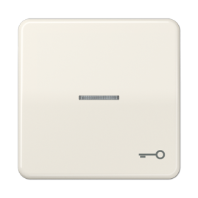 JUNG CD 500/CD plus Бежевая Клавиша 1-ая с/п с символом КЛЮЧ