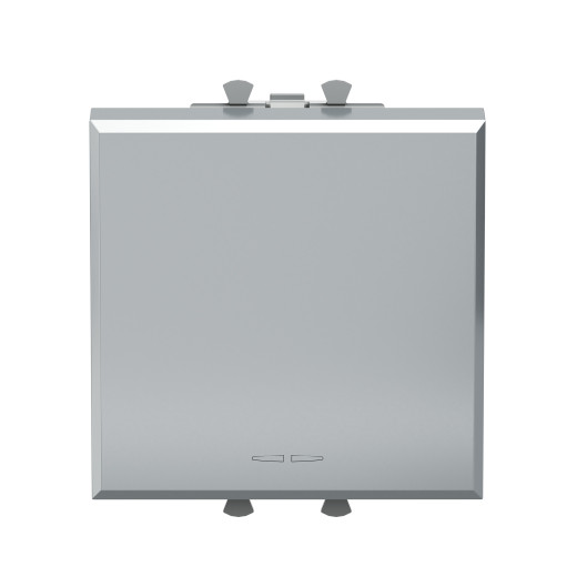 Инвертор одноклавишный модульный, Avanti, закаленная сталь, 2 модуля