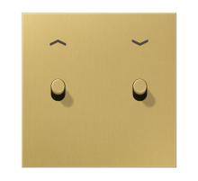 JUNG LS1912 Латунь классик Центральная плата с символом «стрелки», 1 пост, 2 тумблера,цилиндр; метал. исполнение