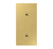 JUNG LS1912 Латунь классик Центральная плата, 2 поста, для вертикальной установки, тумблеры 1+1,цилиндр; метал. исполнение