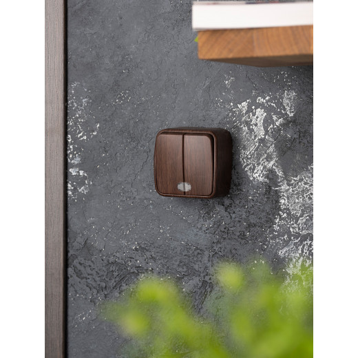 Выключатель 2-клавишный ОП Минск 10А с индикатором тёмное дерево EKF