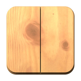 Systeme Electric Blanca наруж Ясень Выключатель 2-клавишный , 10А, 250B