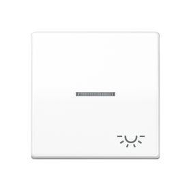 JUNG Клавиша для выключателя с окошком для подсветки и символом 