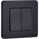 Выключатель двухклавишный - Legrand/Daccord Inspiria - 10АХ 250В безвинтовые зажимы - антрацит