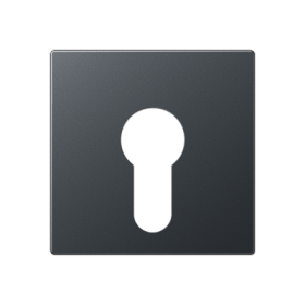 JUNG Крышка для выключателя с замком матовый антрацит
