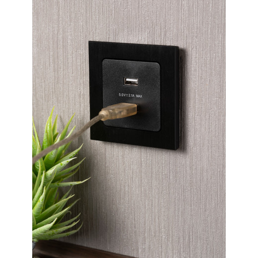 Стокгольм Механизм Розетки USB 2-местной 2,1А винтовые клеммы черный EKF PROxima