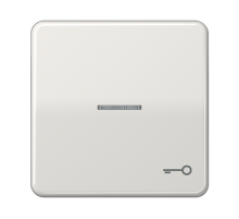 JUNG CD 500/CD plus Светло-серая Клавиша 1-ая с/п с символом КЛЮЧ