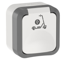 TORS Роз. 1-я с з/к кр с ик самок 16А IP55 TS321 сер-бел IEK