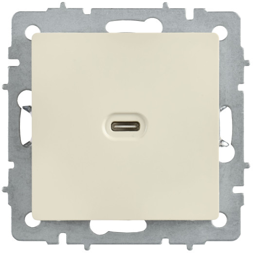 BRITE Роз. USB C 65Вт высокоскор. зар. РЮ12-1-БрКр беж. IEK