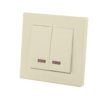 TDM Выключатель 2 кл. с подсветкой 10А сл. кость 