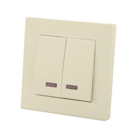 TDM Выключатель 2 кл. с подсветкой 10А сл. кость 