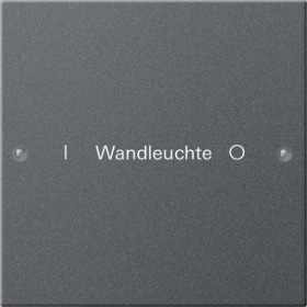 Gira Набор клавиш 1-местный, гравировка