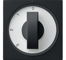 Gira Накладка с ручкой для трехступенчатого переключателя