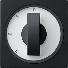 Gira Накладка с ручкой для трехступенчатого переключателя