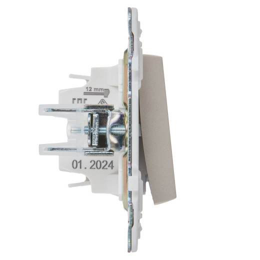 SKANDY Выключ. 1-кл. 10А SK-V01Sh шамп. IEK