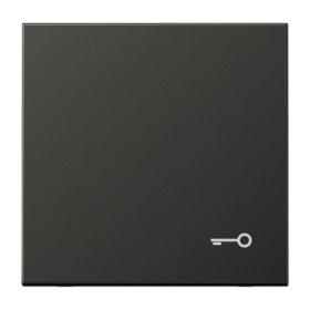 JUNG Антрацит Клавиша с символом 