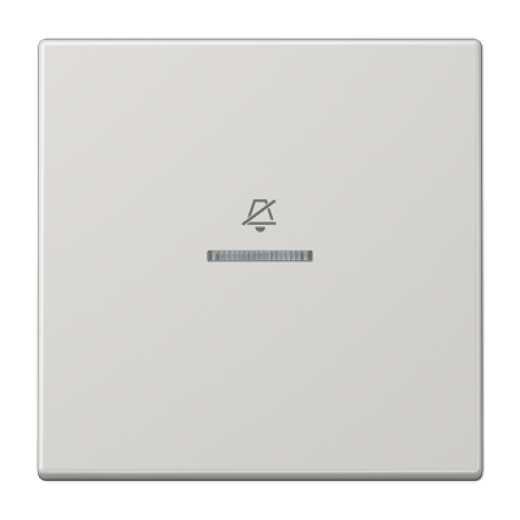 Двойная клавиша на гостиничный выключатель, комнатный модуль