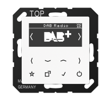 JUNG Цифровое радио DAB+, белый