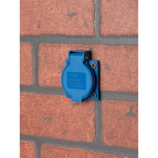 Розетка 112 панельная скрытая с крышкой 2Р+PЕ 16А 220В IP54 EKF