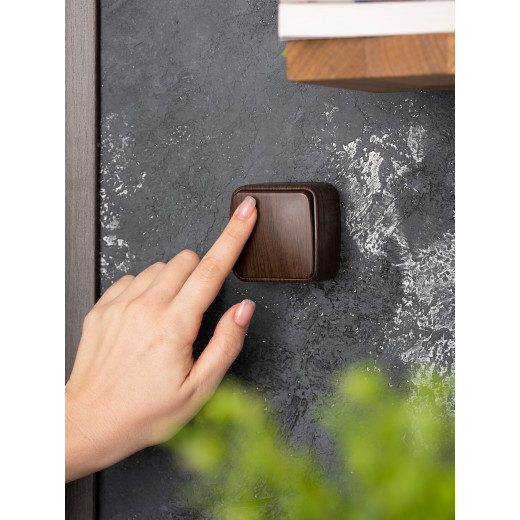 Выключатель 1-клавишный ОП Минск 10А тёмное дерево EKF