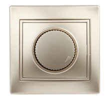 Intro 1-401-04 Светорегулятор поворотный, 600Вт 230В, IP20, СУ, Plano, шампань (10/200/2000)