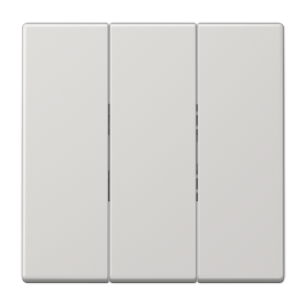 JUNG Светло-Серая Клавиша 3-ая для трёхклавишного переключателя арт. 5306EU