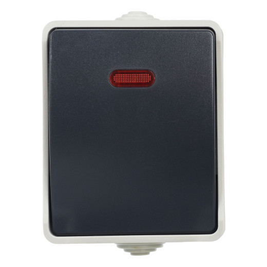 FORS Выкл. 1-кл. прох. с инд. о/у IP54 ВС20-1-1-ФСр сер. IEK