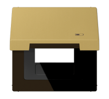 JUNG Рамка с подпружиненной крышкой для USB-механизмов, с центральной платой, латунь Classic