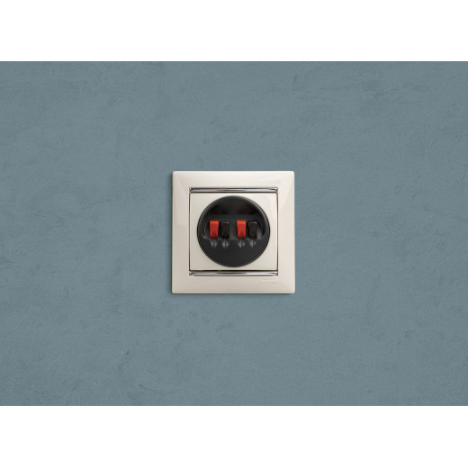 Розетка для акустической системы двойная - Legrand Valena - белый