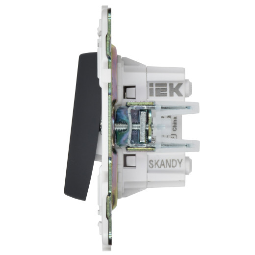 SKANDY Выключ. 2-кл. перекр. 10А SK-V06Bl черн. IEK