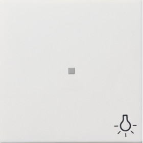 Gira Клавиша с пиктограммой 