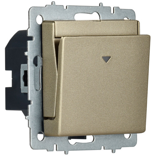 BRITE Выключ. карточный 30А ВС10-1-8-БрШ шамп. IEK