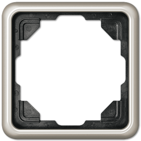 JUNG CD 500 Платина Рамка 1-ая