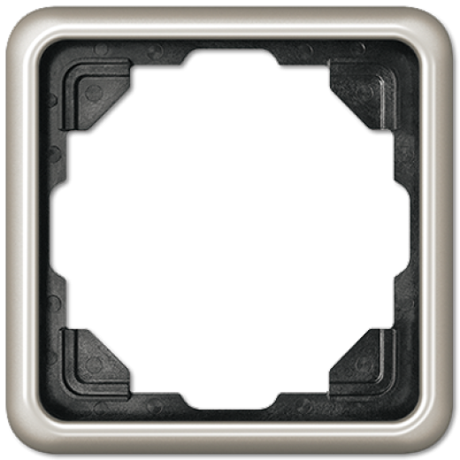 Рамка для вертикальной и горизонтальной установки, 1 пост, металл, платина, CD500