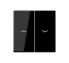 JUNG Черный Клавиши для сдвоенных выключателей; термопласт; с символами