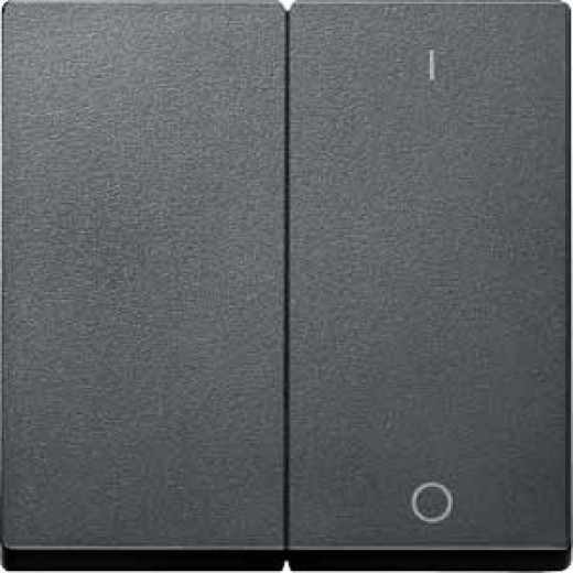 MERTEN КЛАВИША двойная с пиктограммами 