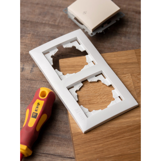 Валенсия рамка 2-местная белая EKF PROxima