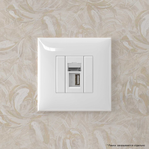 USB 2.0 розетка одинарная в стену, тип А-А, Avanti, белое облако