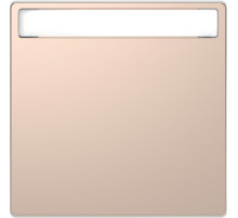 Schneider Electric Merten D-Life Шампань Клавиша 1-ая с полем д/надписи