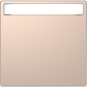 Schneider Electric Merten D-Life Шампань Клавиша 1-ая с полем д/надписи